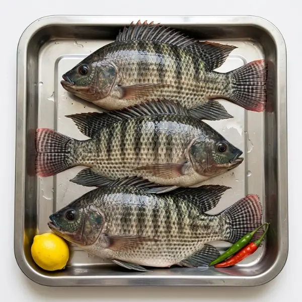 Boneless and skinless frozen Tilapia fish fillets 2 packs deal
