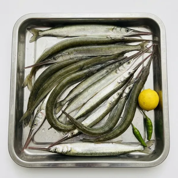 Frozen Kaikka Kakia freshwater needlefish 400g block