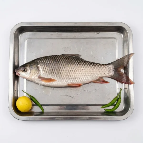Fresh Mrigal Mrigle fish 3kg plus whole carp London