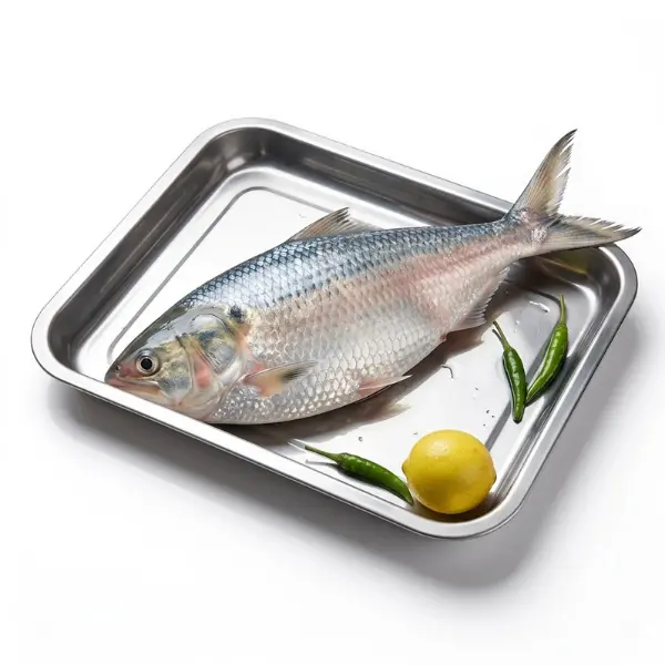 Authentic fresh large Padma Hilsha Ilish whole fish London delivery