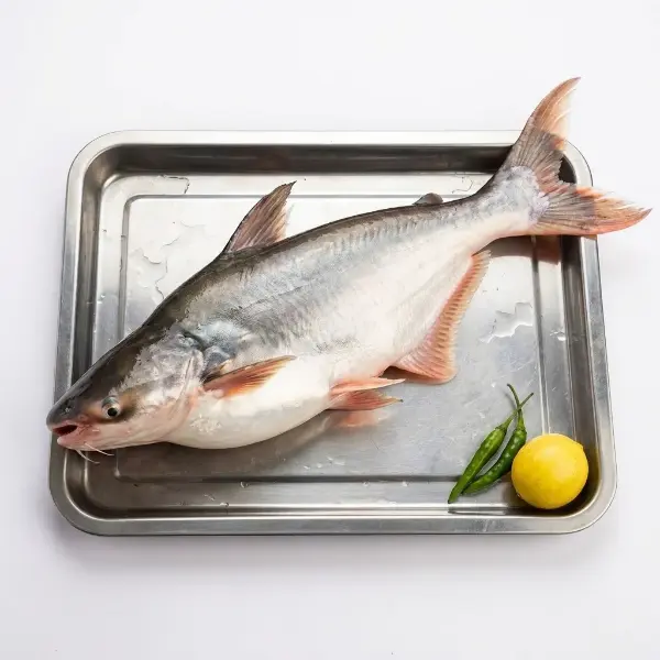 Frozen boneless Pangus Basa white fish fillets 2 packs bundle UK